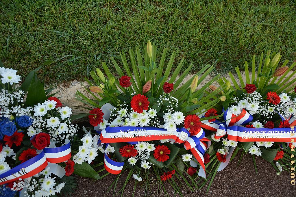 2024 09 25 TOULON  HOMMAGE AUX HARKIS et FORCES SUPPLETIVES D ALGERIE   (13).jpg
